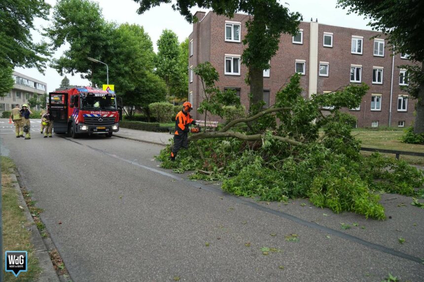 Tak breekt af aan Victor de Stuersstraat