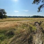 Archieffoto WdG - Weerter- en Budelerbergen