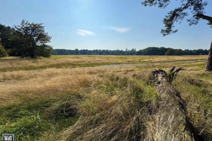 Archieffoto WdG - Weerter- en Budelerbergen