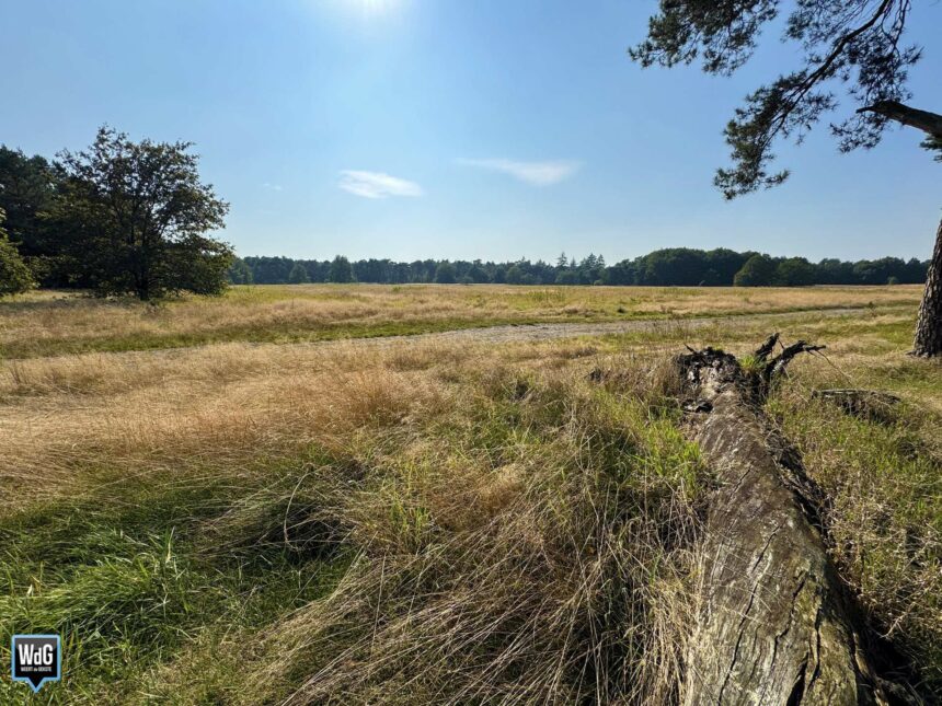 Archieffoto WdG - Weerter- en Budelerbergen