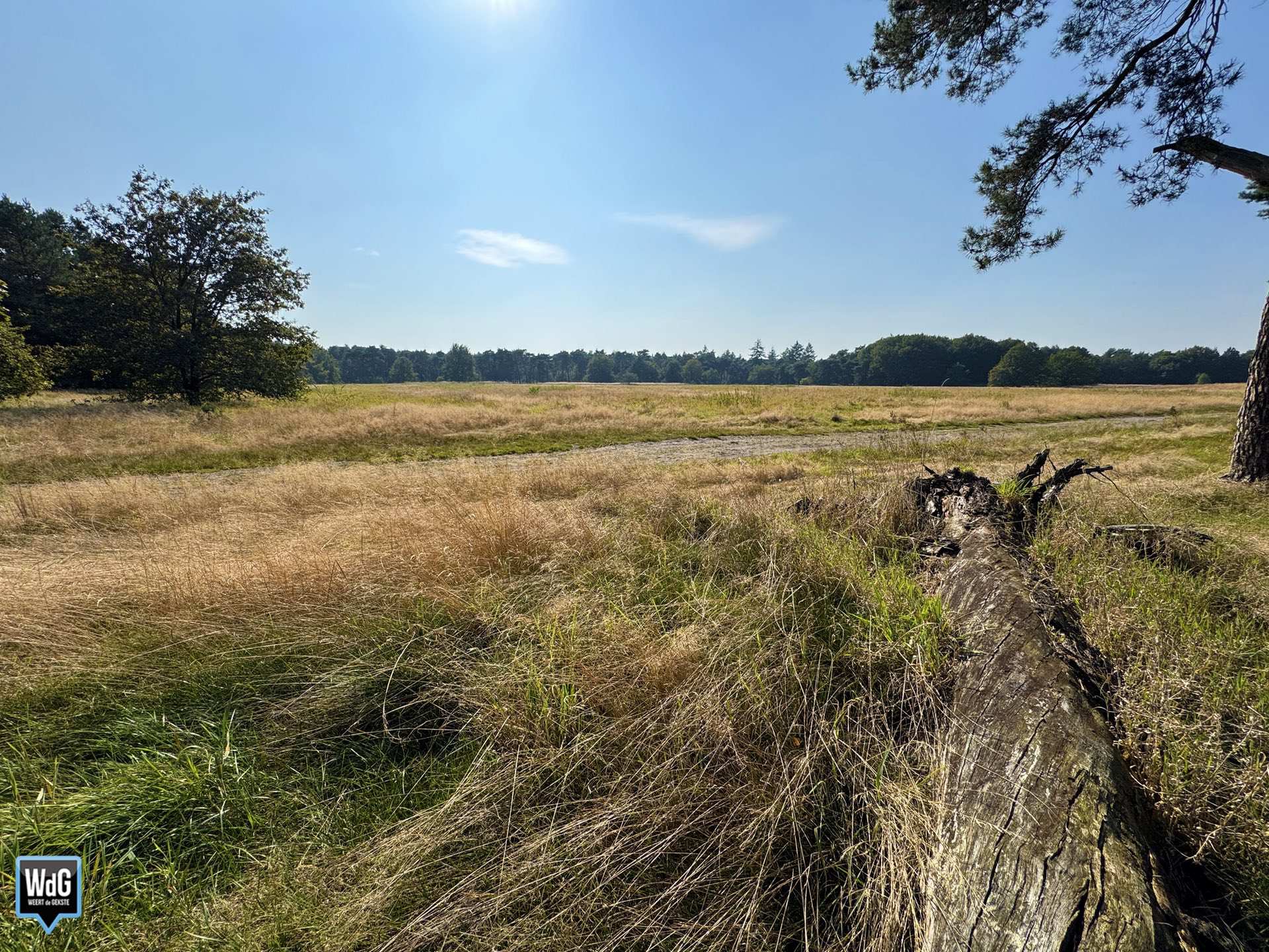 Archieffoto WdG - Weerter- en Budelerbergen