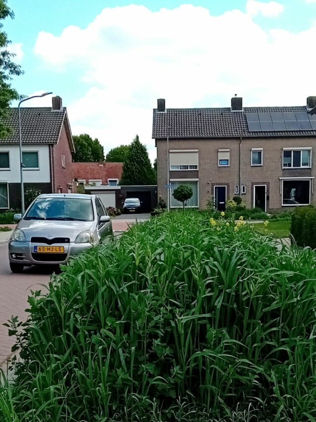 Autosafari op Moesel