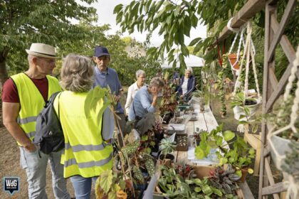 Park De Weijer viert 10-jarig bestaan met gezellige jubileumdag
