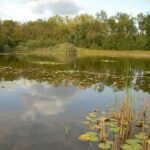 Excursie Sarsven en de Kwegt