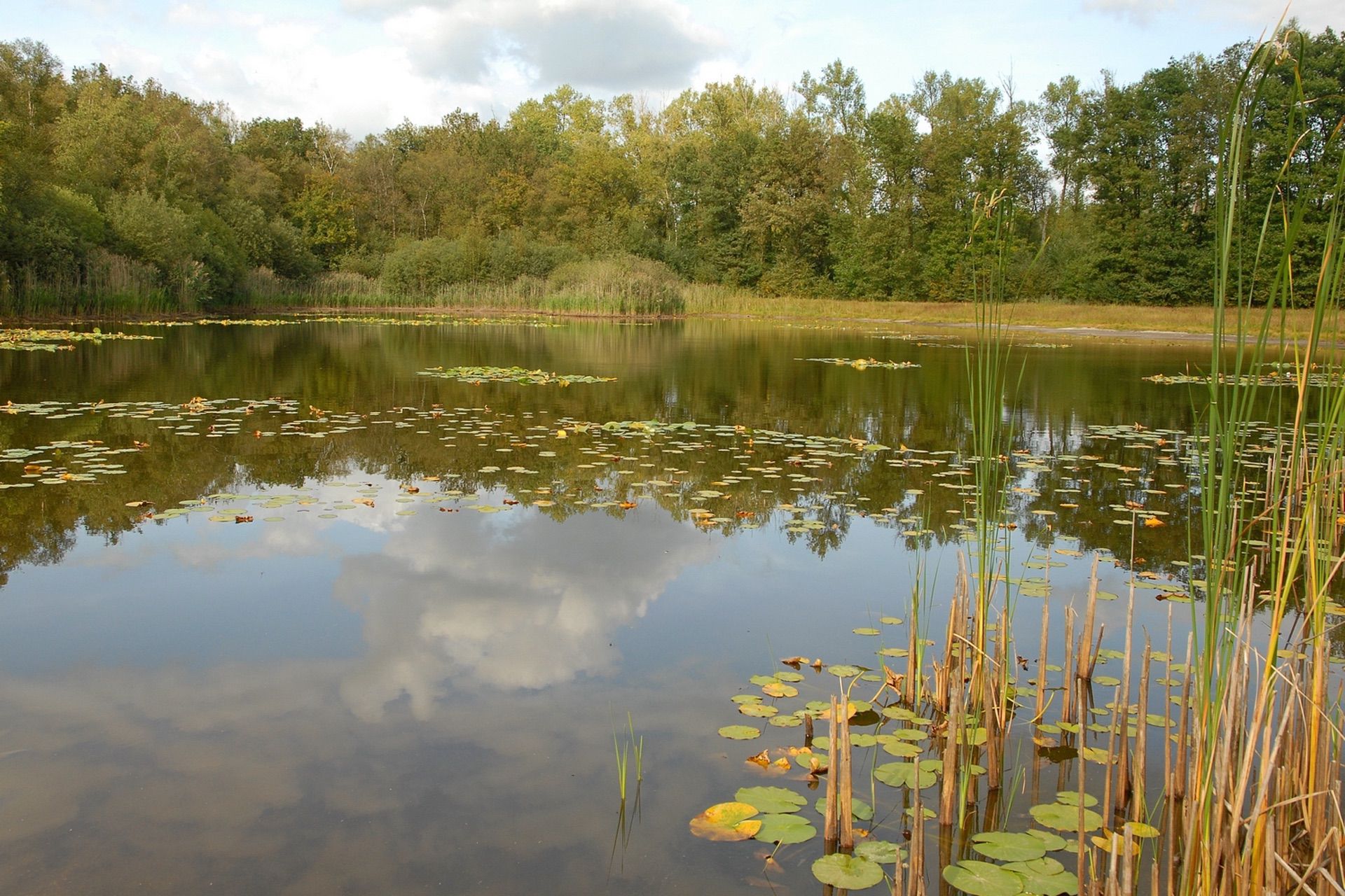 Excursie Sarsven en de Kwegt