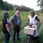 Archieffoto WdG - Avond4Daagse Altweerterheide