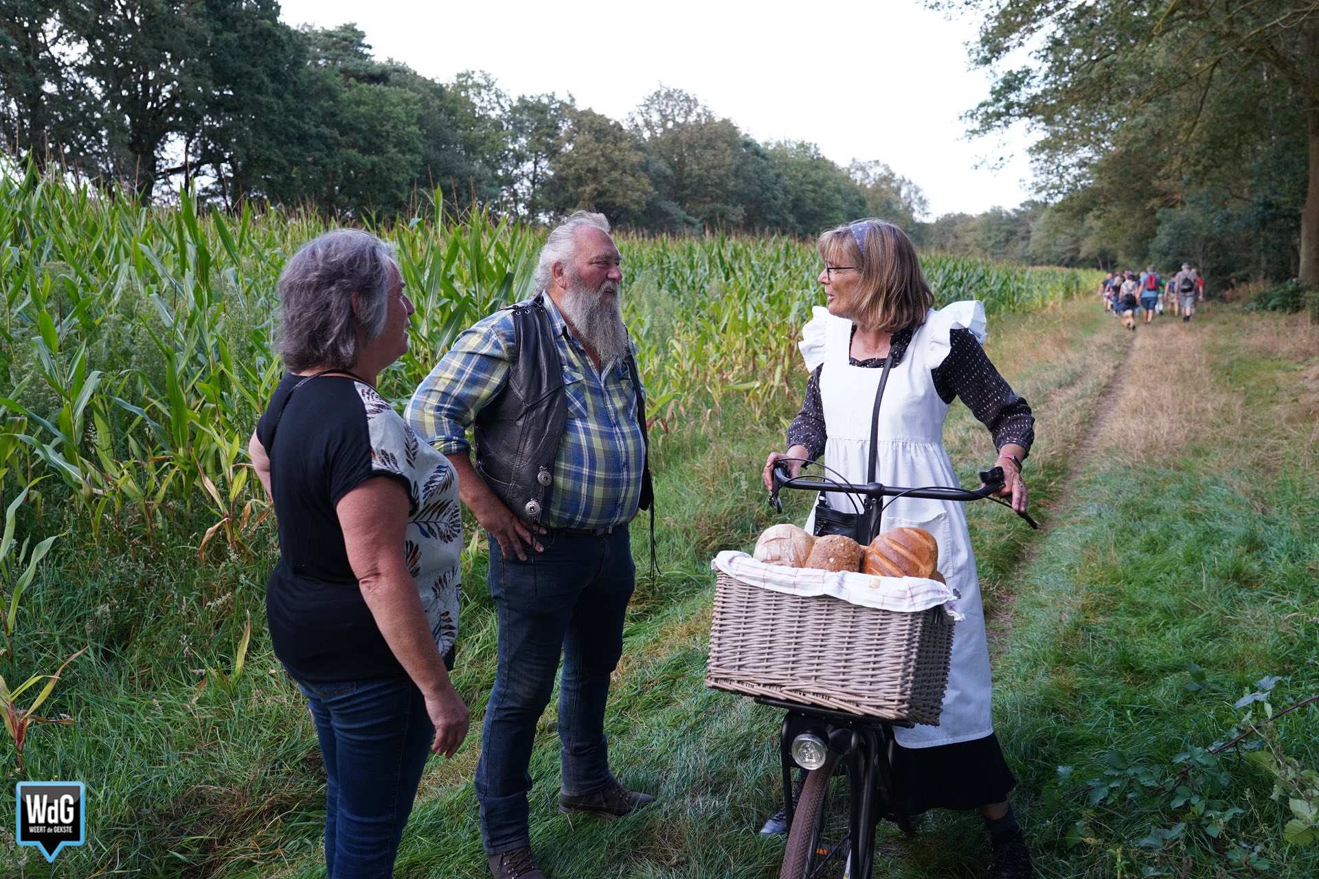 Archieffoto WdG - Avond4Daagse Altweerterheide