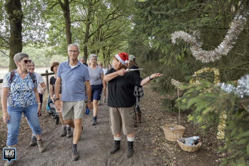 Avond4Daagse Altweerterheide