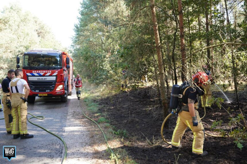 Brandweer dooft bermbrand aan Bergbosweg in Budel