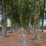 Wandelpad Fatima
