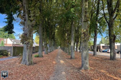 Wandelpad Fatima