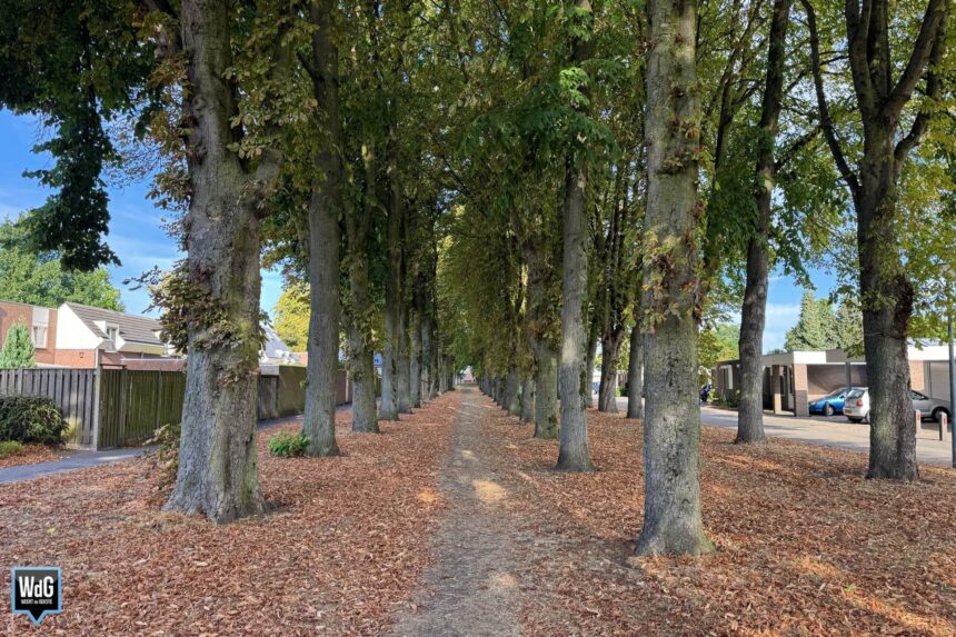 Wandelpad Fatima