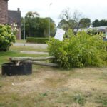 Wonen Limburg zoekt ‘held’ na omgezaagde boom Tungelroy