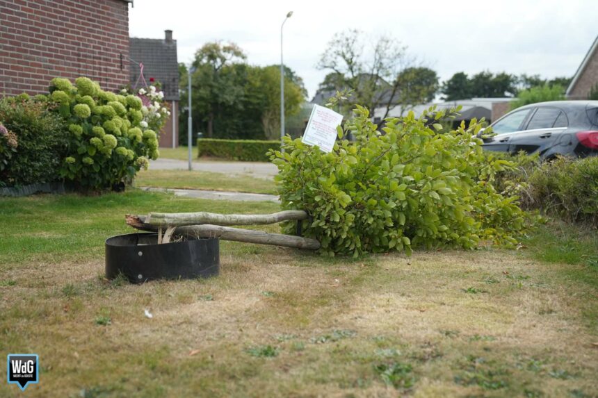 Wonen Limburg zoekt ‘held’ na omgezaagde boom Tungelroy