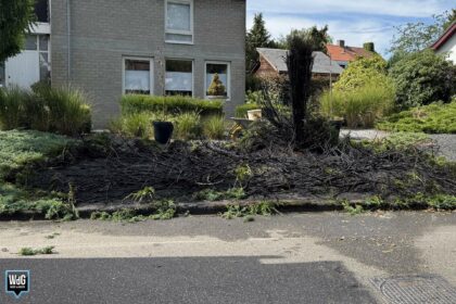 Struik vat vlam in Budel-Dorplein