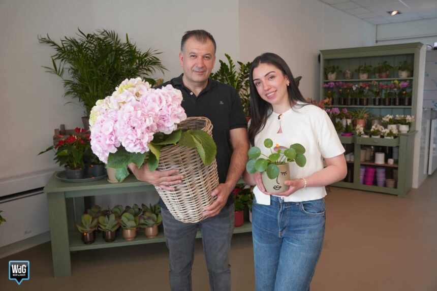 Dedemin Bloemen