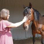 De paarden van Alinda geven ons voer tot nadenken