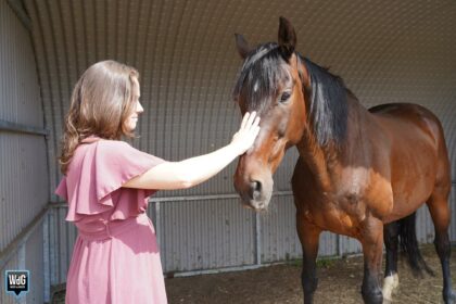 De paarden van Alinda geven ons voer tot nadenken