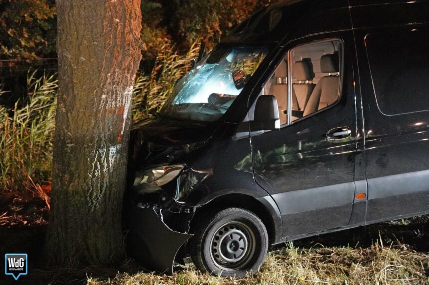 Bestuurder rijdt met bestelbus tegen boom op verzorgingsplaats Meiberg