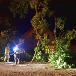 Brandweer verwijdert afgebroken tak in Meijel