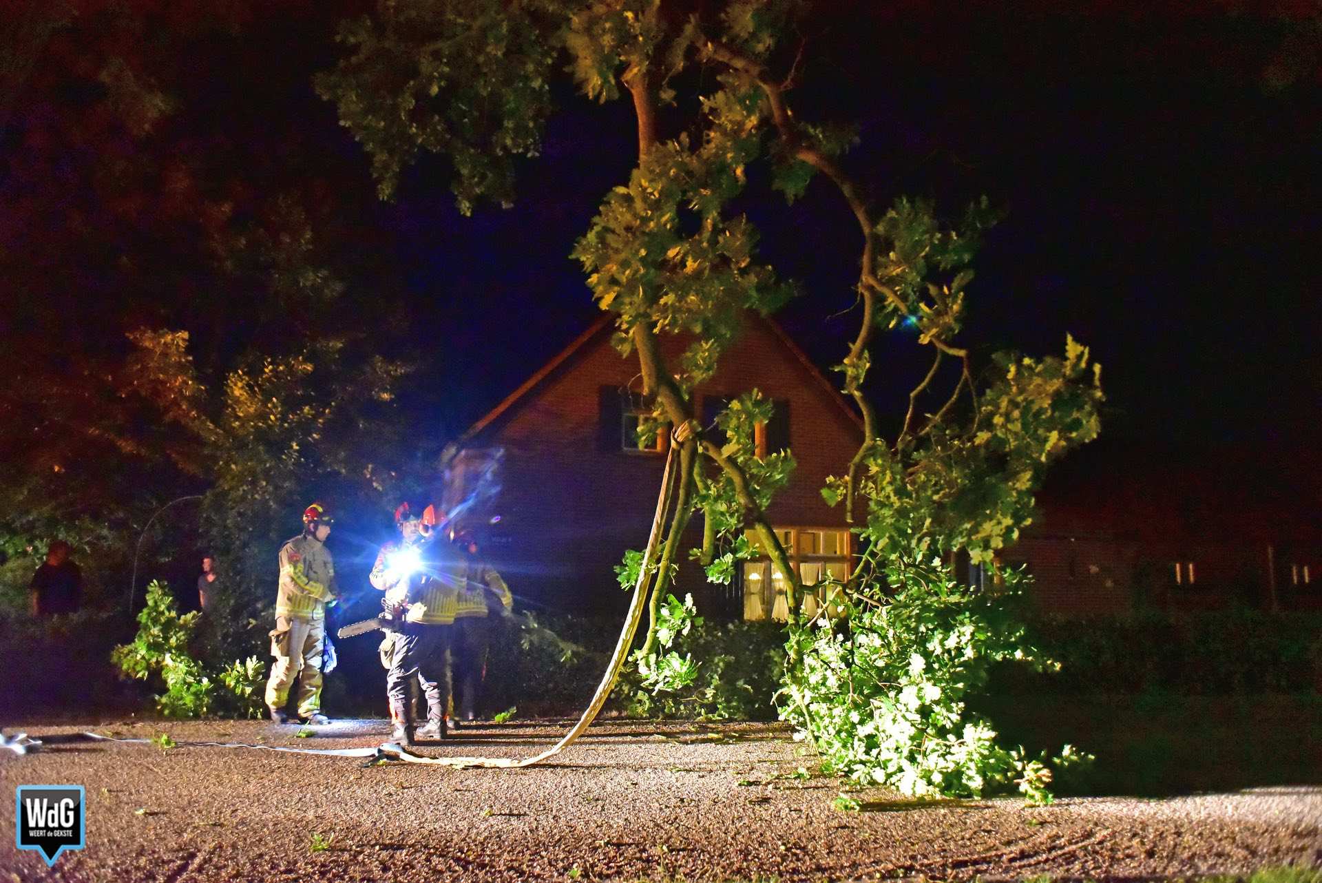 Brandweer verwijdert afgebroken tak in Meijel