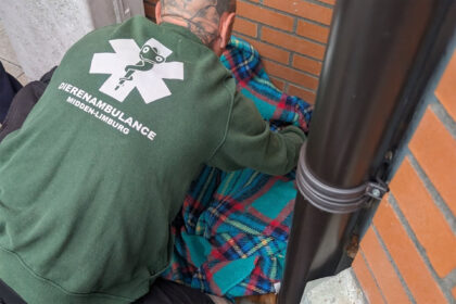 Foto via: Dierenambulance Midden-Limburg