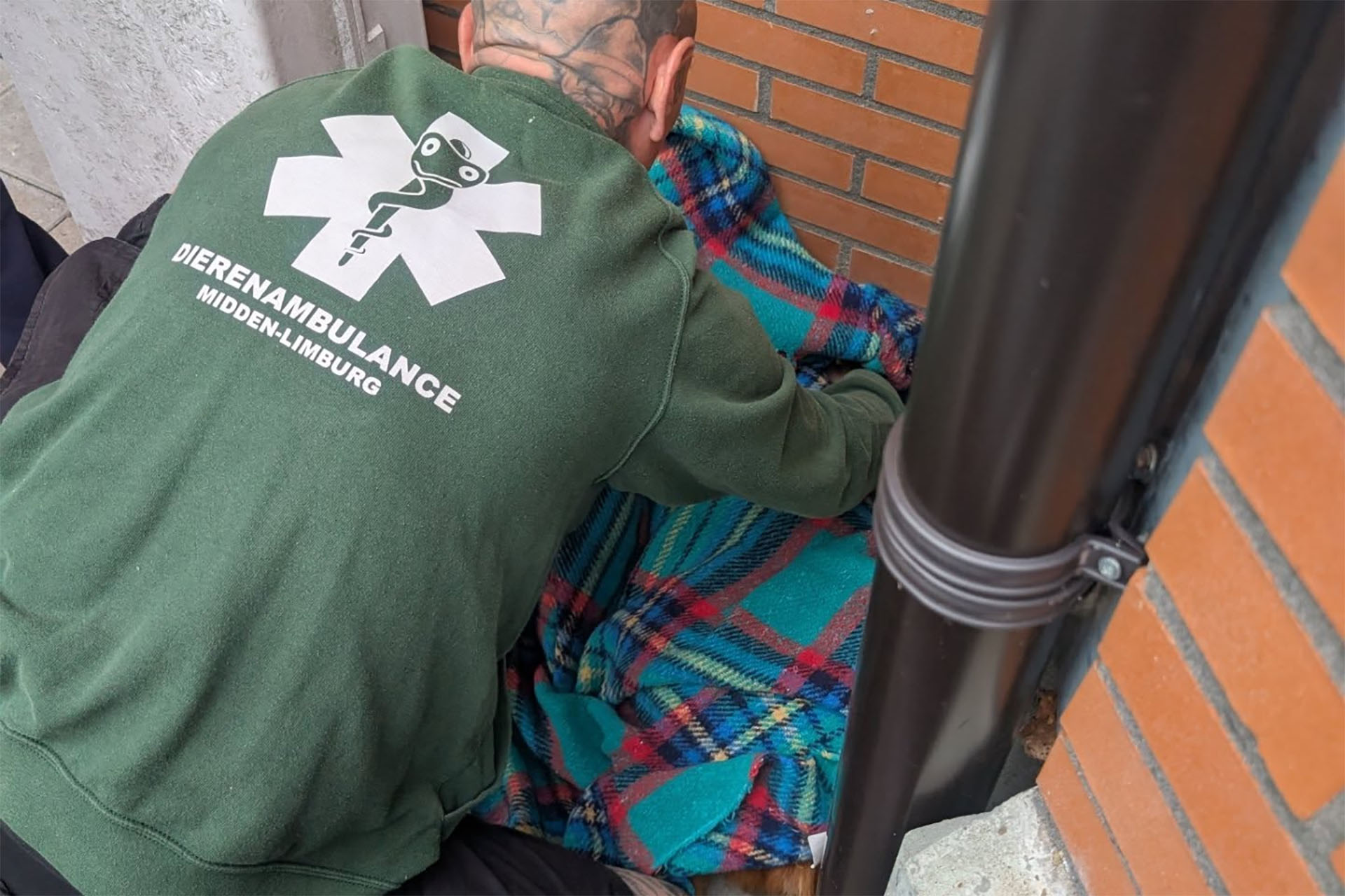 Foto via: Dierenambulance Midden-Limburg