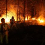 Brandweer dooft bosbrand in Weerter- en Budelerbergen