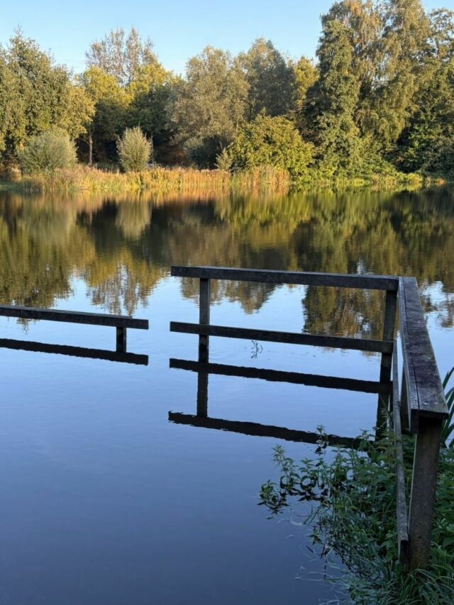Vijver Graswinkel buiten de oevers
