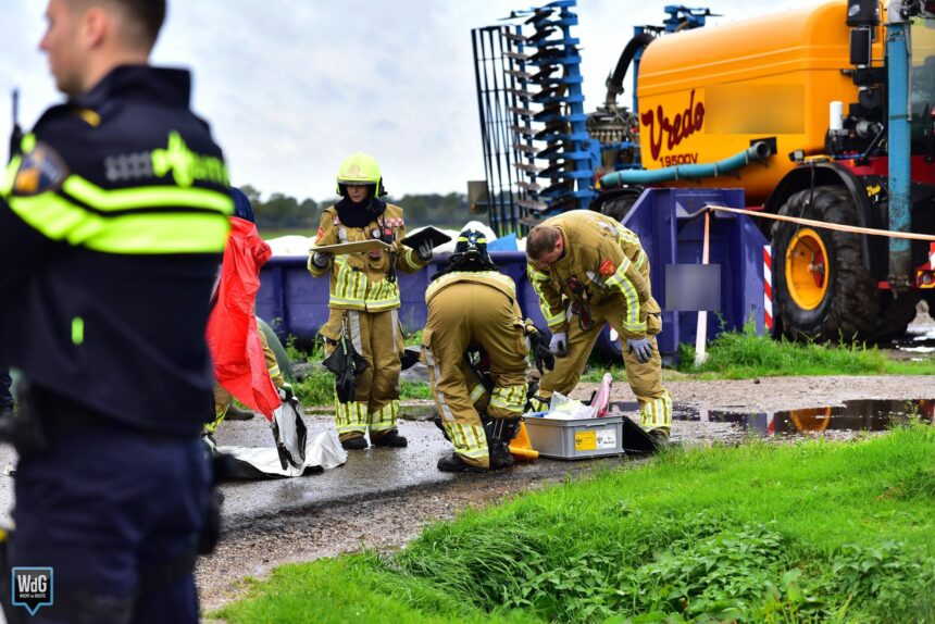 honderden varkens overleden in varkensstal