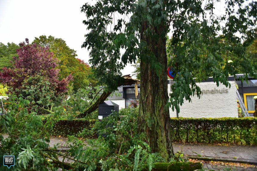 Tak valt op trafohuisje bij 't Zonnehuis