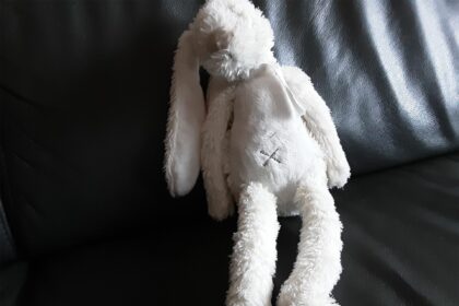 Knuffelkonijn gevonden