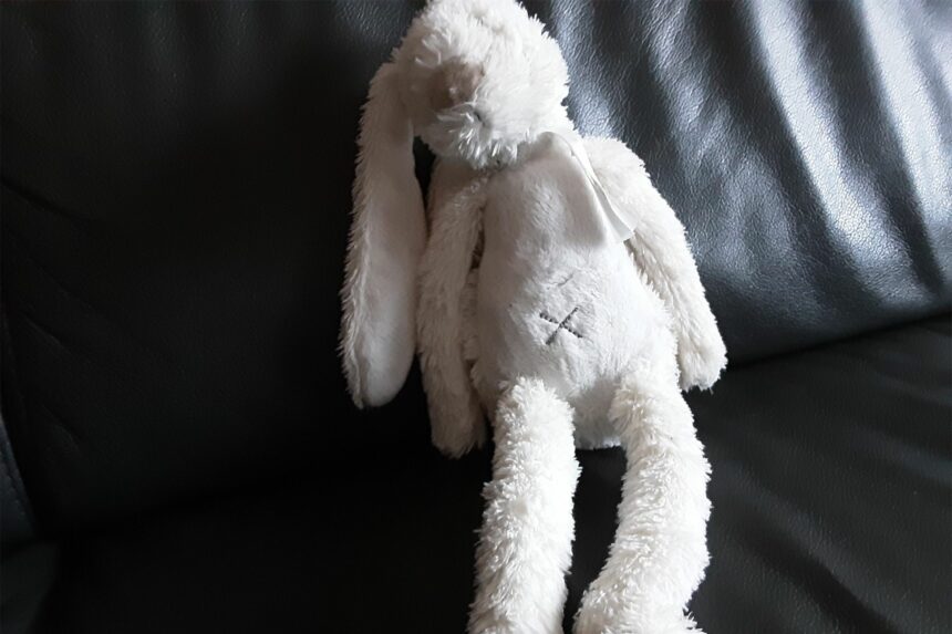 Knuffelkonijn gevonden