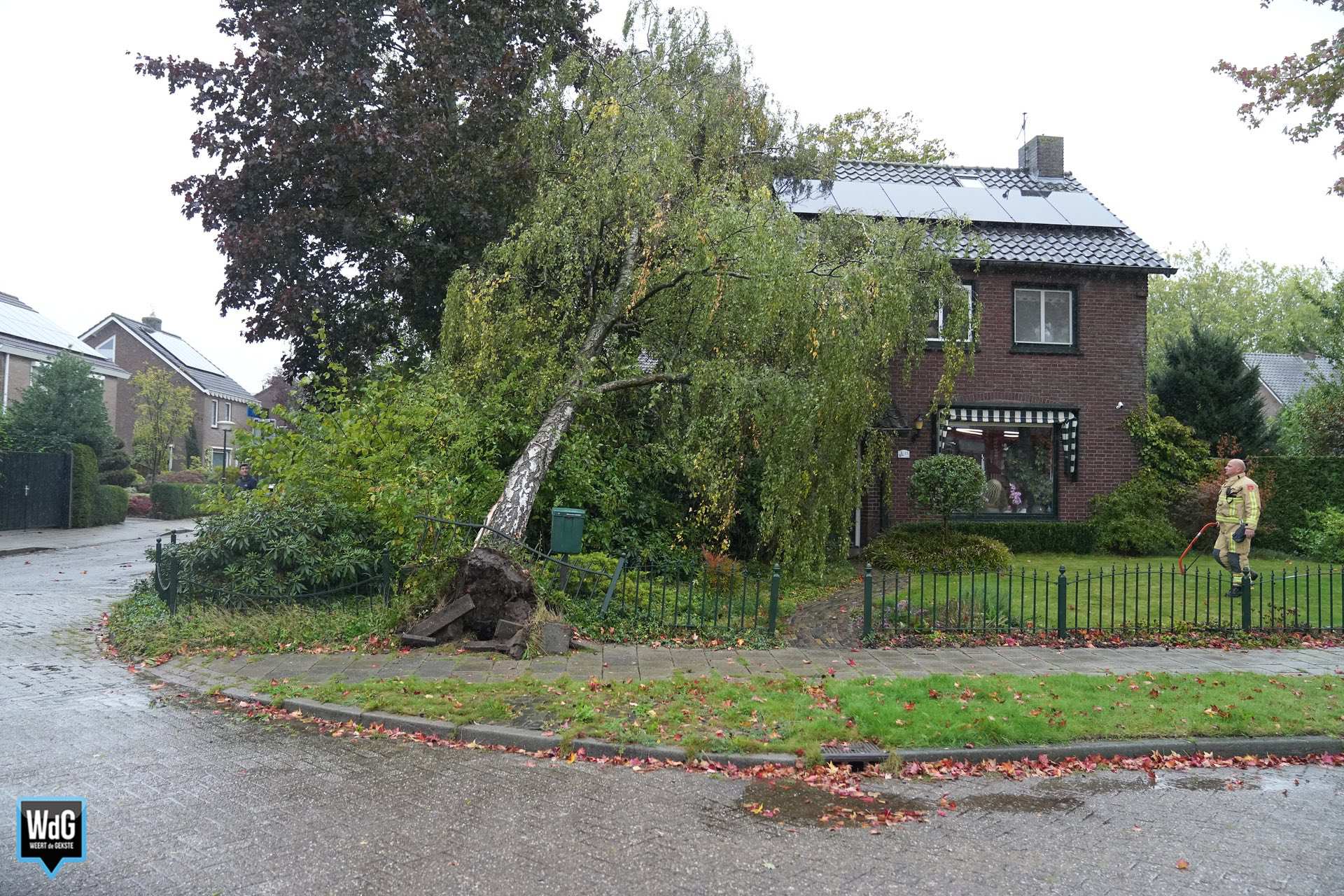 Boom valt op woning in Budel-Dorplein