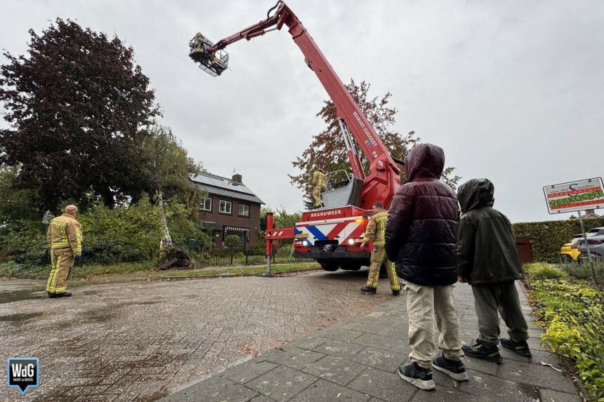 Boom valt op woning in Budel-Dorplein