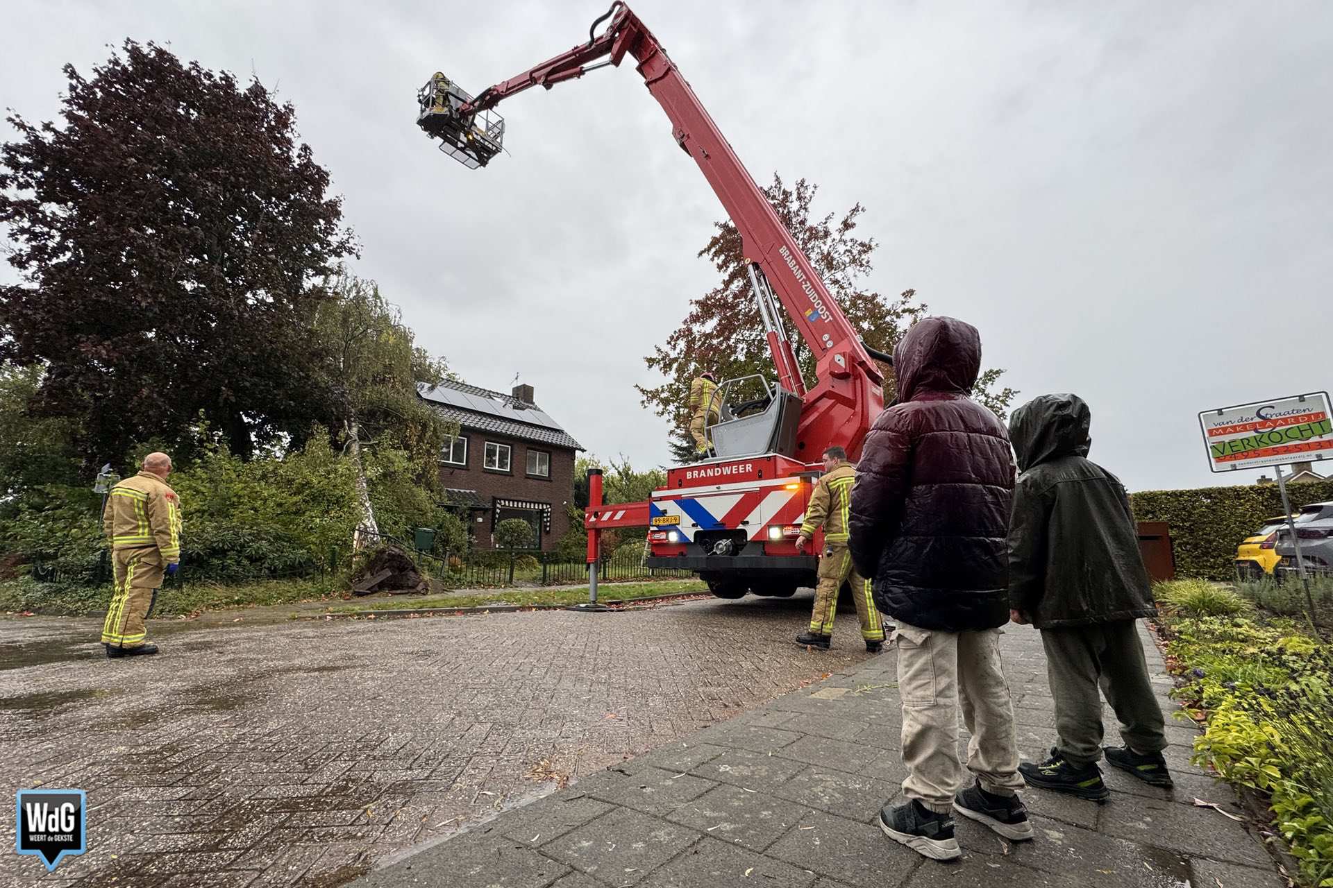 Boom valt op woning in Budel-Dorplein