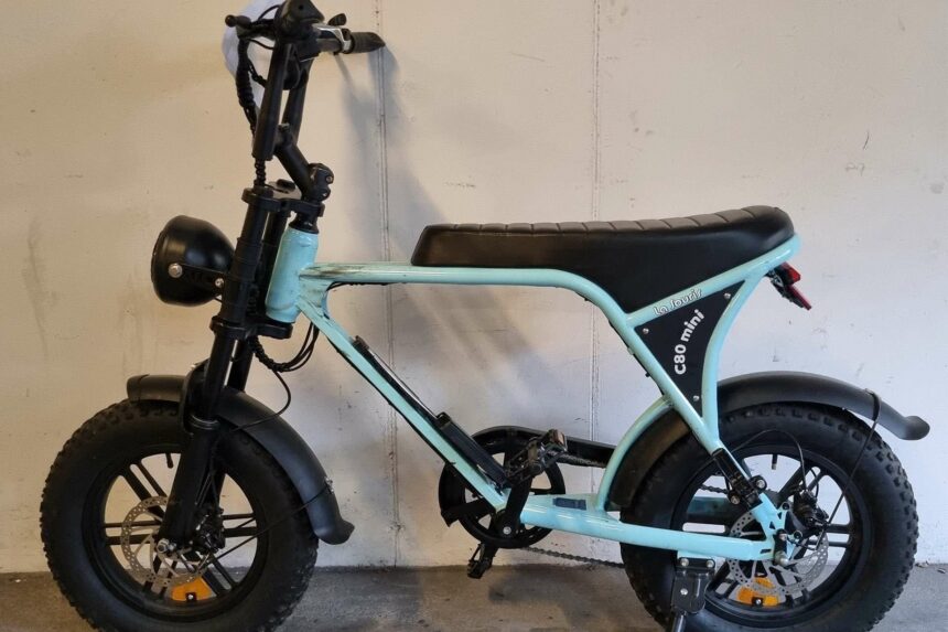 gestolen fatbike
