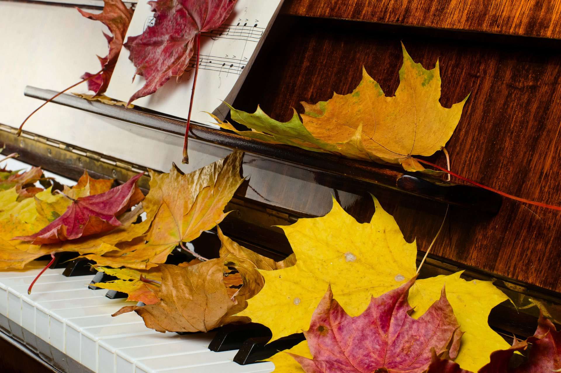 Herfstconcert