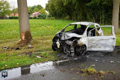 Auto botst tegen boom en vliegt in brand in Roggel