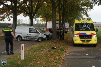 Bestelauto botst tegen meerdere bomen op Isidoorstraat in Haler