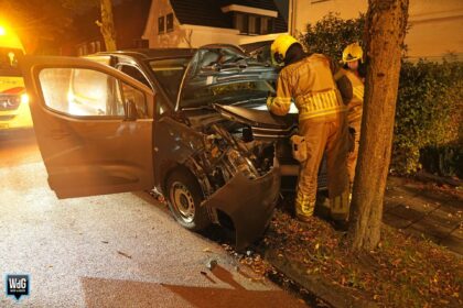 Bestuurder gewond na botsing tegen boom op Maaseikerweg