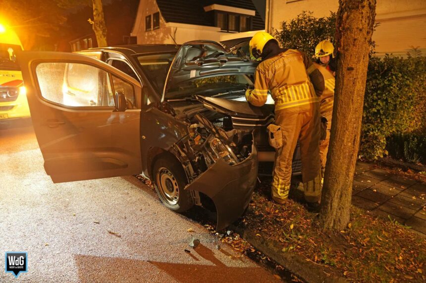 Bestuurder gewond na botsing tegen boom op Maaseikerweg