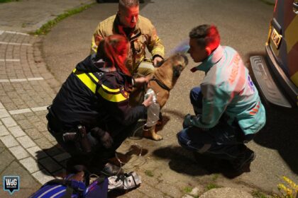 Bewoner slaapt door terwijl pannetje op vuur staat