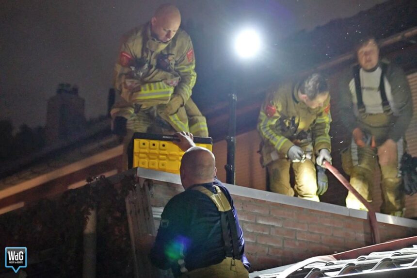 Nachtelijke reddingsactie voor kat tussen muren