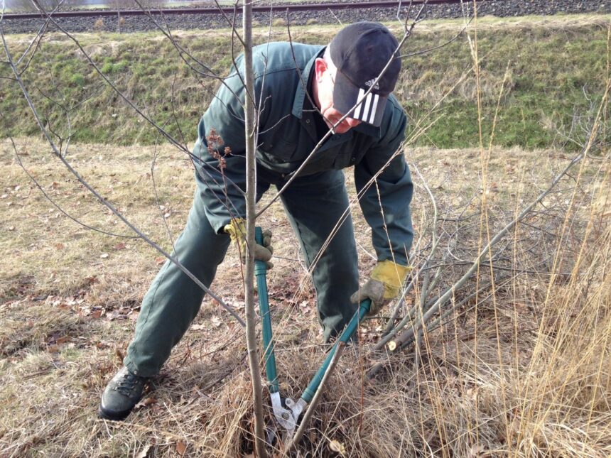 Foto via IVN Weert (archief)