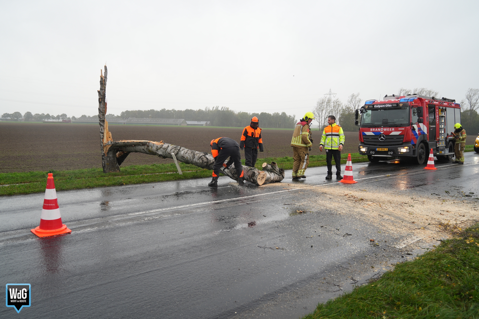 Benjamin blaast boom de N280 op bij Kelpen-Oler