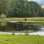 Archieffoto WdG - Landschap Laurabossen