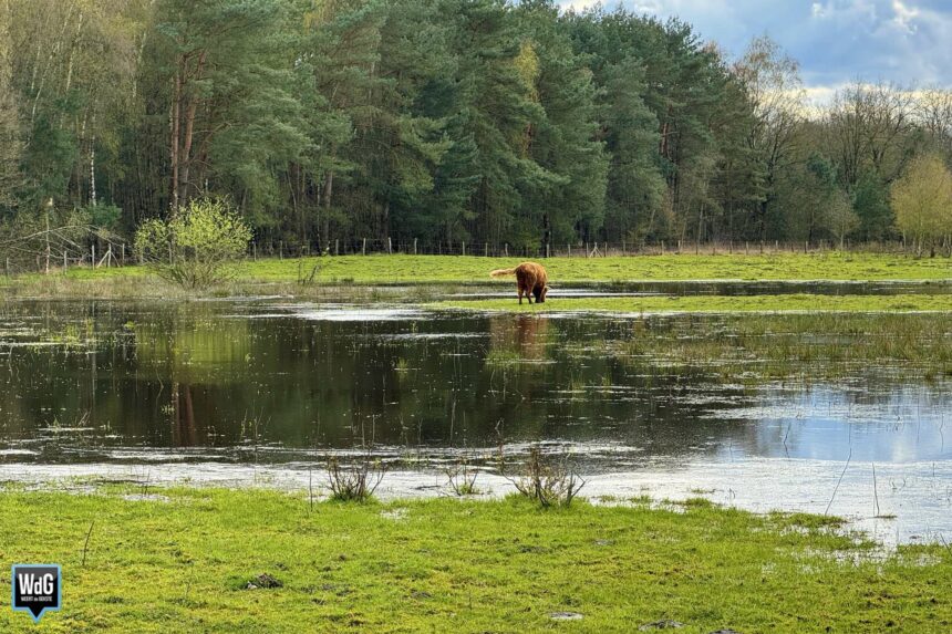 Archieffoto WdG - Landschap Laurabossen