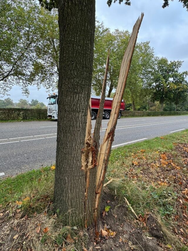 Beschadigde boom Ringbaan-Zuid