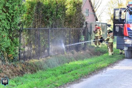 Coniferenhaag vat vlam door laswerk in Nederweert